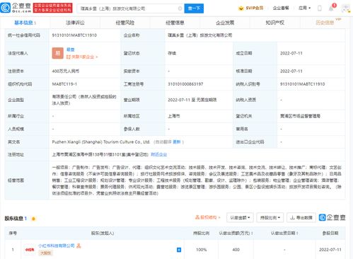 票务代理服务 便捷与风险并存的选择
