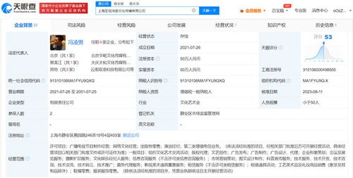 华晨宇公司业务拓展 新增票务代理与服装零售服务，构建文化娱乐新生态